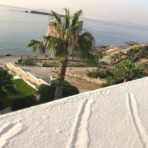 Meet your Posher, Paige